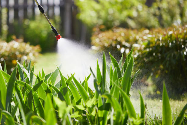 24/7 Emergency Fumigation Services experts in Canadian, TX