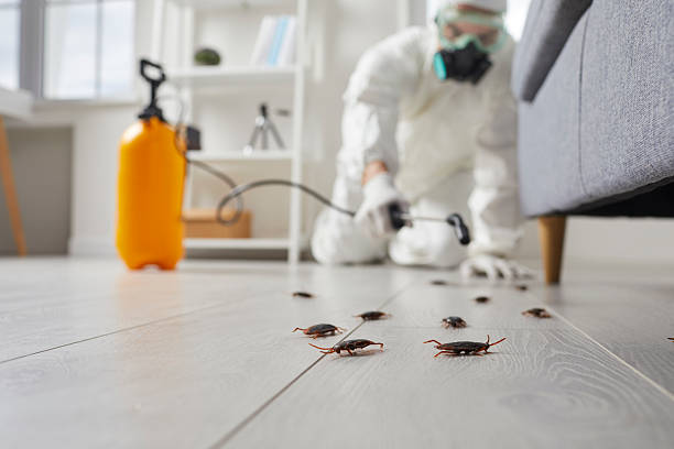 Trusted Termite Control service in Canadian, TX - Nex Pest Control