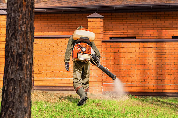 Trusted Bed Bug Control service in Canadian, TX - Nex Pest Control